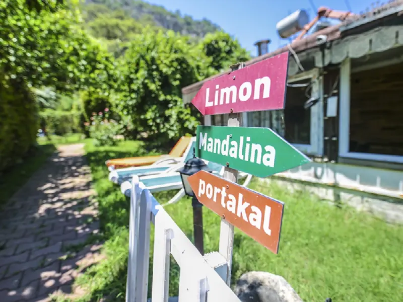 Cirali Villa Zeytin 15