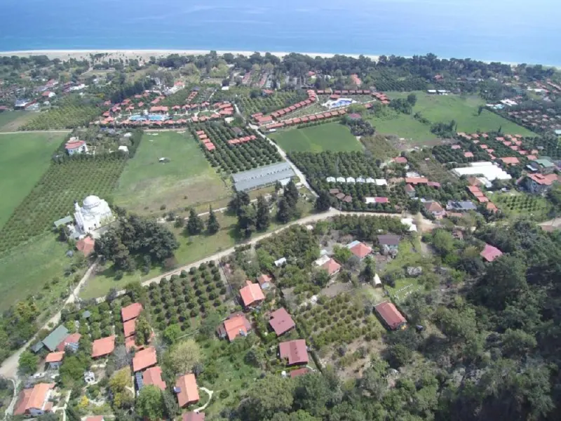 Cirali Villa Zeytin 3