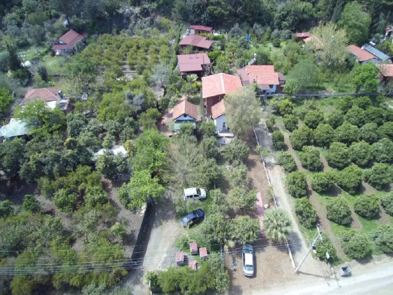 Cirali Villa Zeytin 31