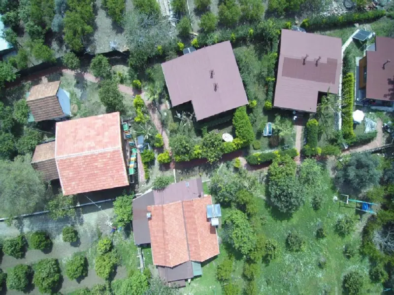 Cirali Villa Zeytin 5