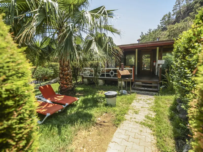 Cirali Villa Zeytin 6