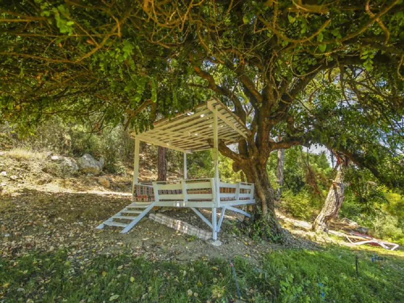 Cirali Villa Zeytin 10