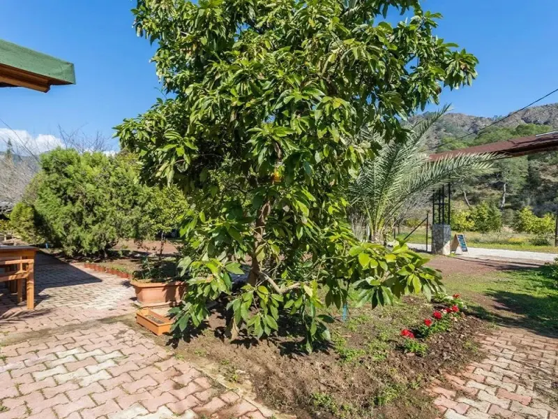 Likya Yanartas Bungalows 4