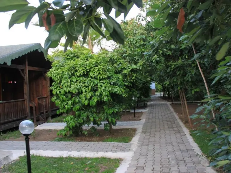 Yildiz Pension Bungalows 29