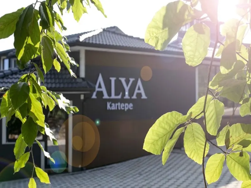Alya Kartepe Villa Hotel 1