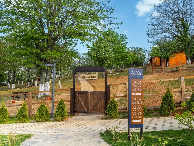 Alya Kartepe Villa Hotel 5