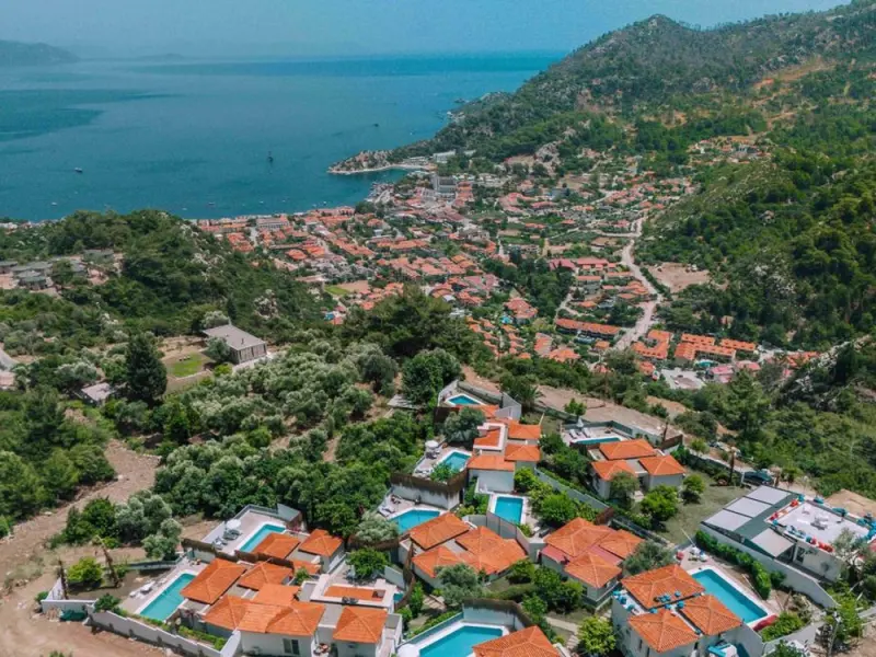 Alya Country Turunc 15