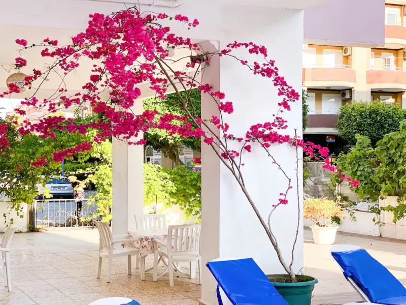 Bella Rose Apart Hotel 14