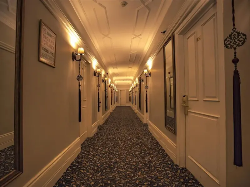 Avicenna Hotel 56
