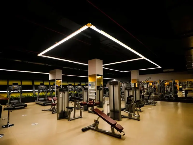 Fier Life Center 33