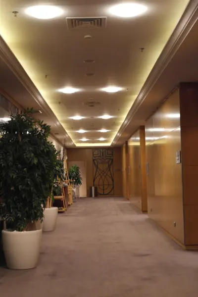 Ankara HiltonSA 44