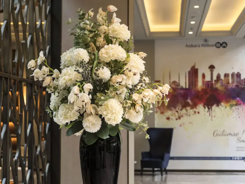 Ankara HiltonSA 80
