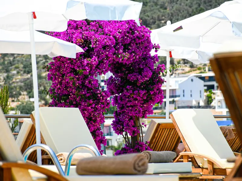 Happy Hotel Kalkan 1