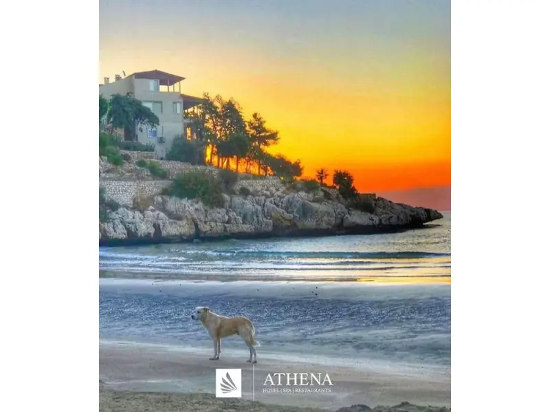 Athena Premium Hotels 23