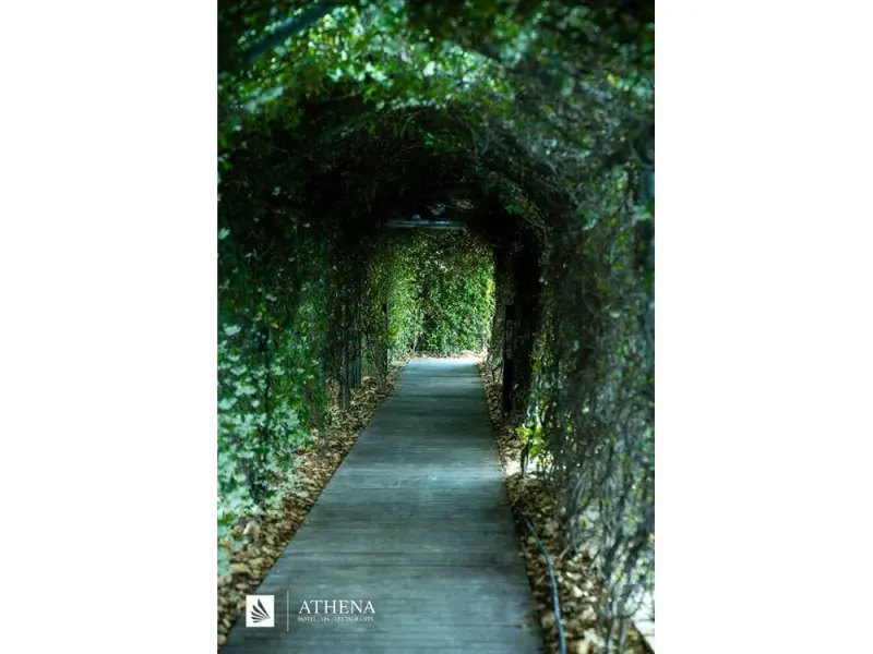 Athena Premium Hotels 27