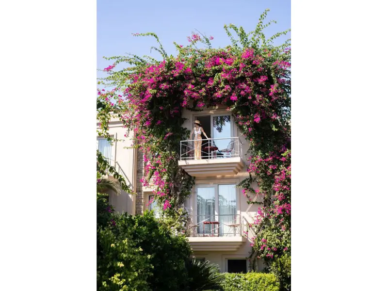 No81 Hotel 4