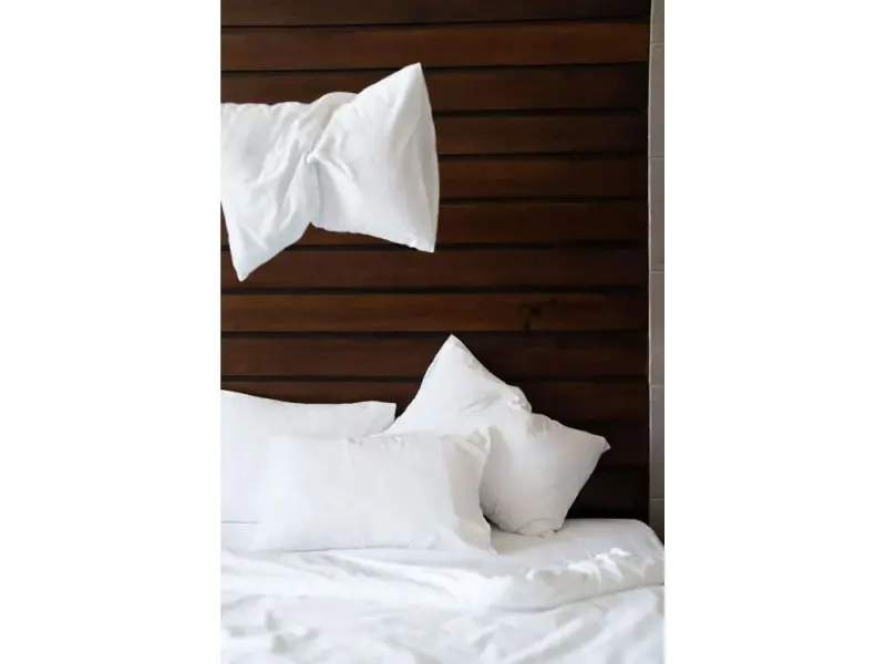No81 Hotel 31