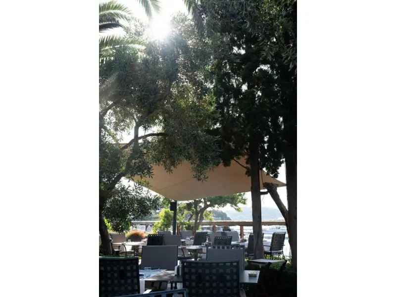 No81 Hotel 40