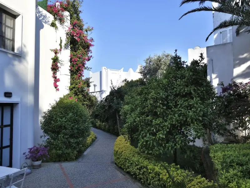 Hotel Torbahan 36