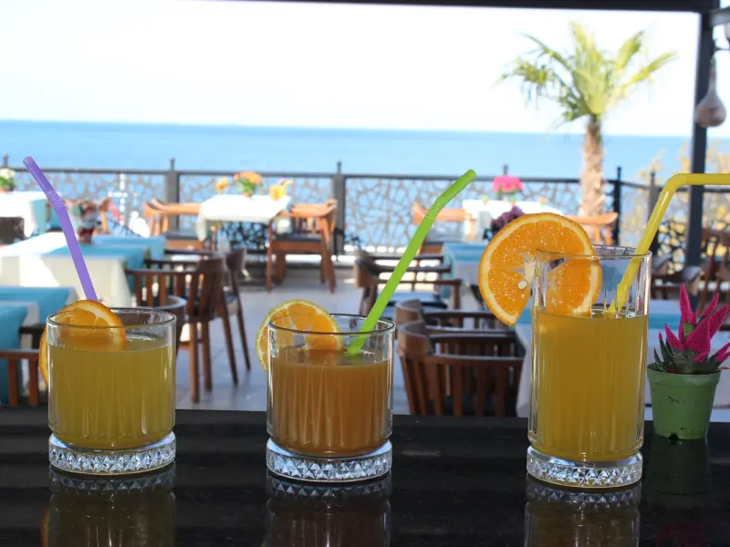 Lions Hotel Yalova 11