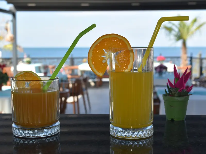 Lions Hotel Yalova 13