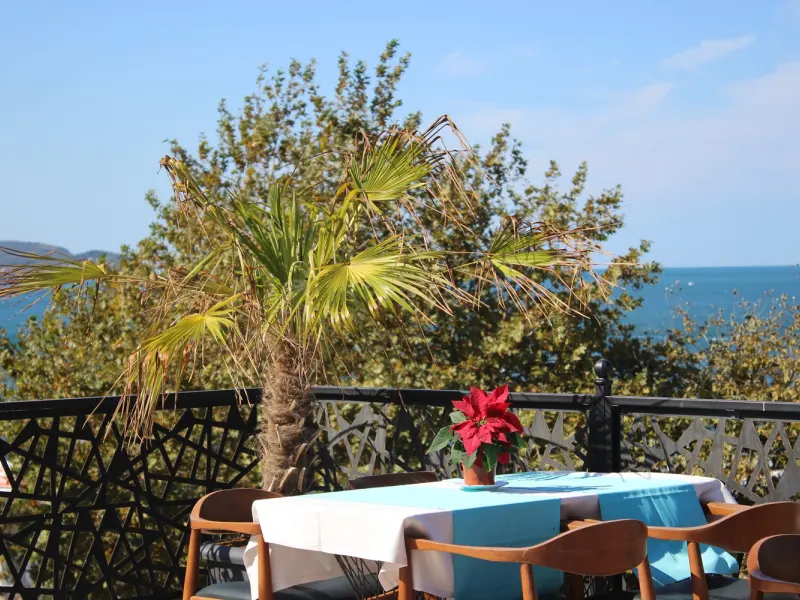 Lions Hotel Yalova 8