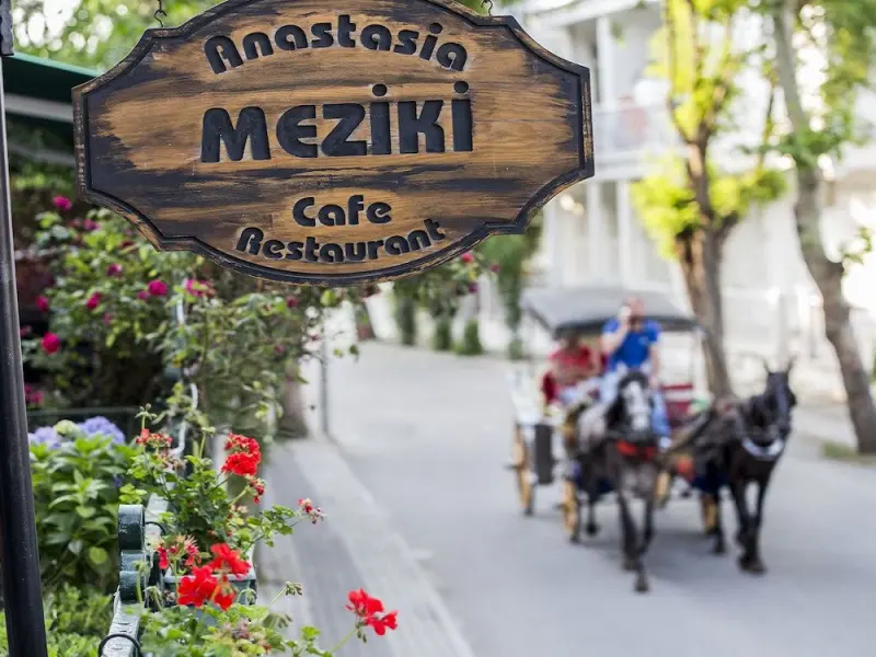 Anastasia Meziki Butik Otel 8