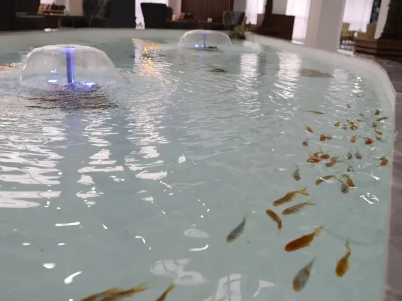 Afyon Afbel Thermal & Spa Hotel 17