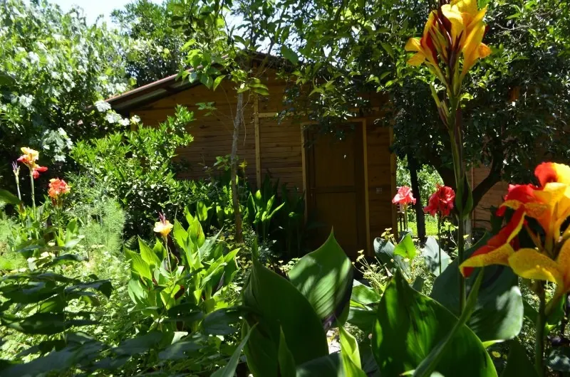 Olimpos Mercan Bungalow 11