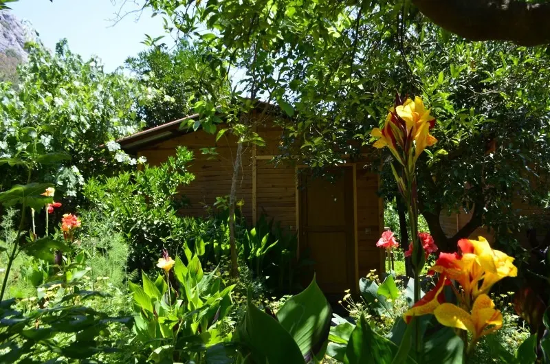 Olimpos Mercan Bungalow 12