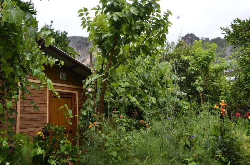Olimpos Mercan Bungalow 24