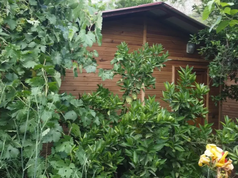 Olimpos Mercan Bungalow 27