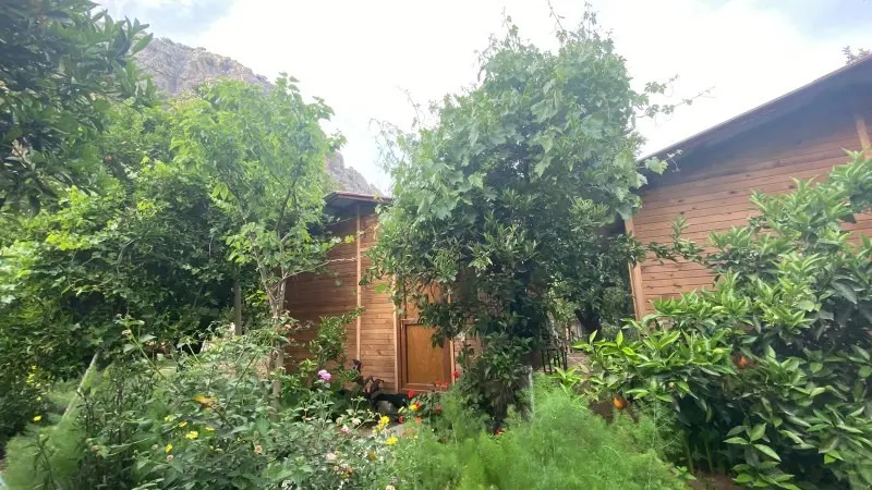 Olimpos Mercan Bungalow 4