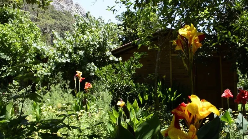 Olimpos Mercan Bungalow 10