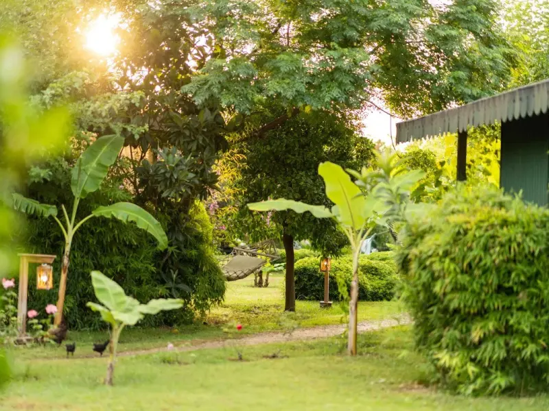 Etenna Beach Bungalows 14