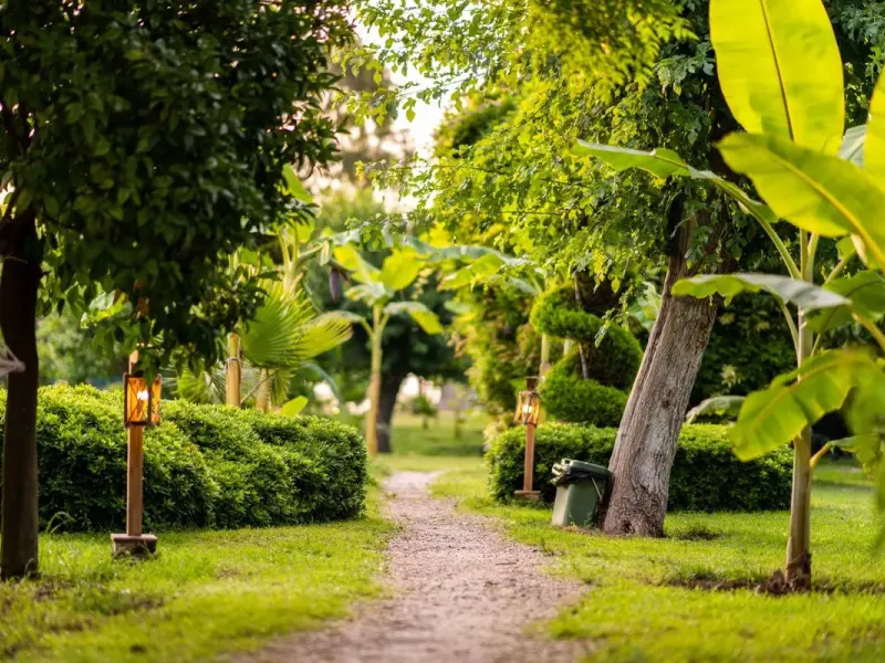 Etenna Beach Bungalows 6