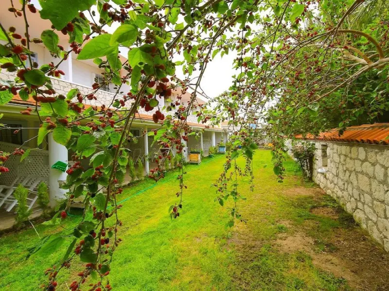 Alasonya Otel Alaçatı By Lamira 1