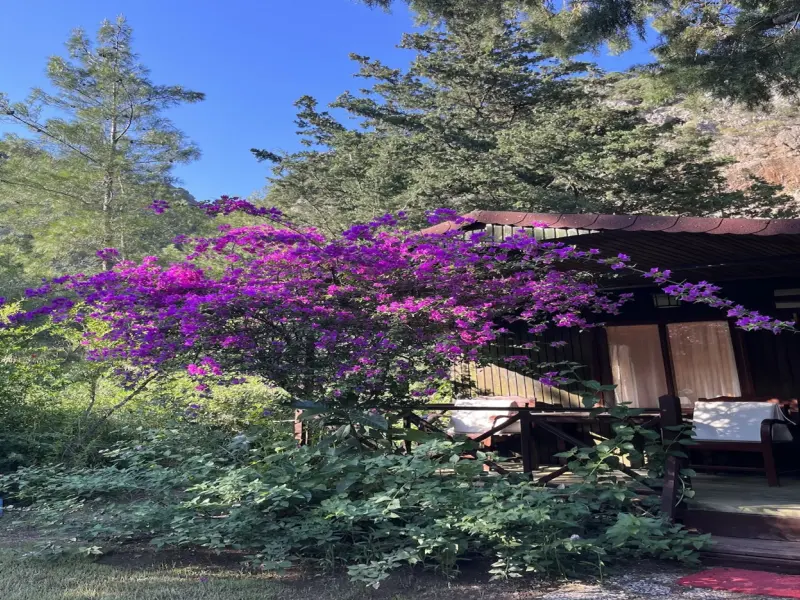 Kibala Hotel 3