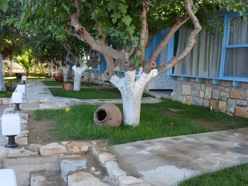 Dağ Butik Otel Sığacık 8
