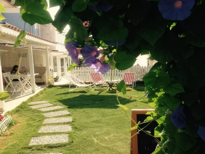Alaçatı Alaris Hotel 5