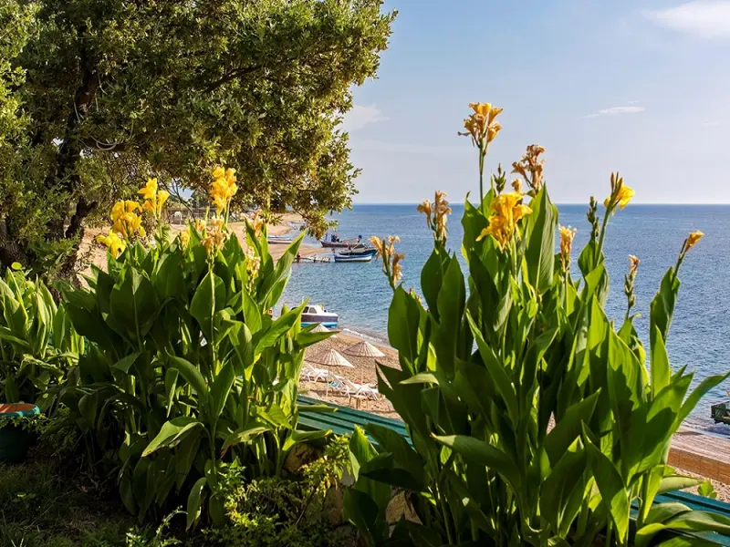 Troas Beach Hotel 14