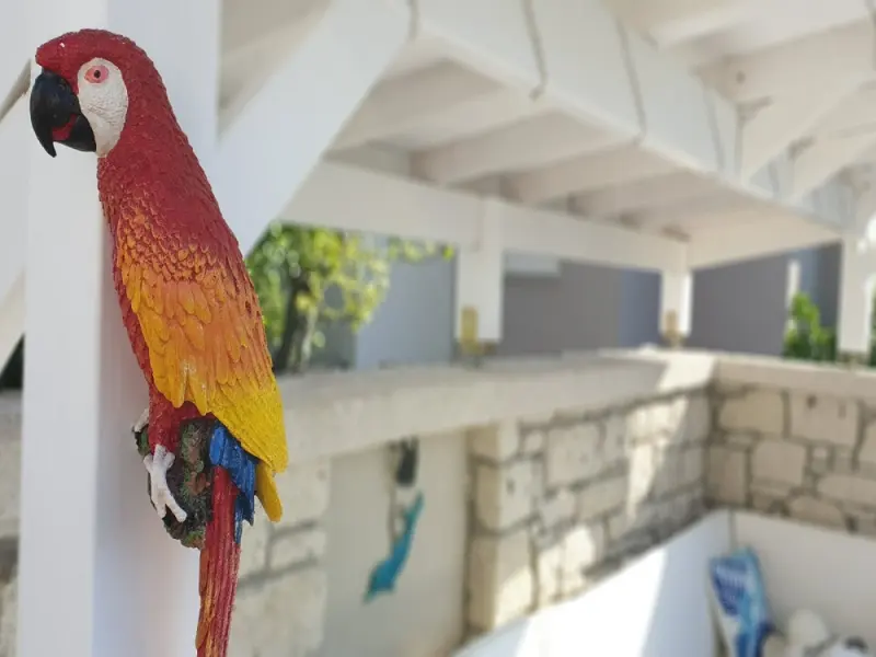 Villa Peri Butik Otel 17