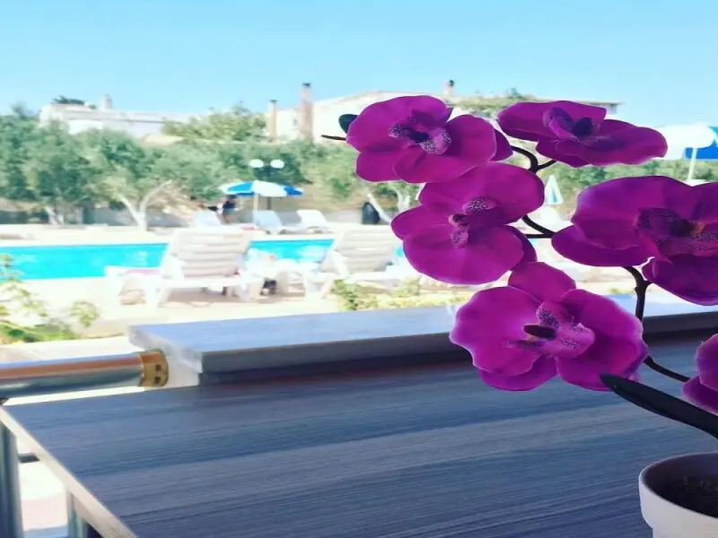 Afissia Garden Hotel 4
