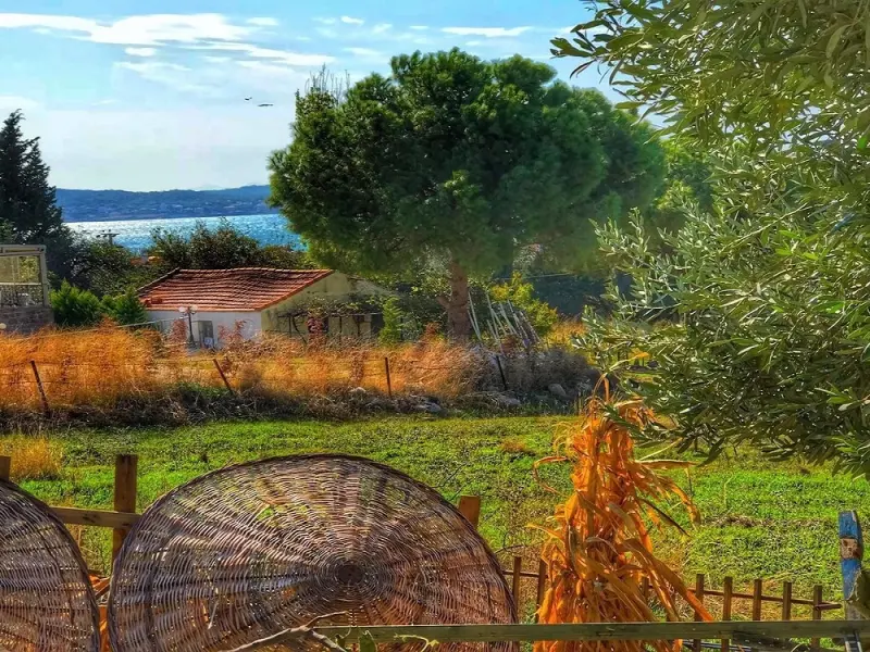 Cunda The Lara Otel 1