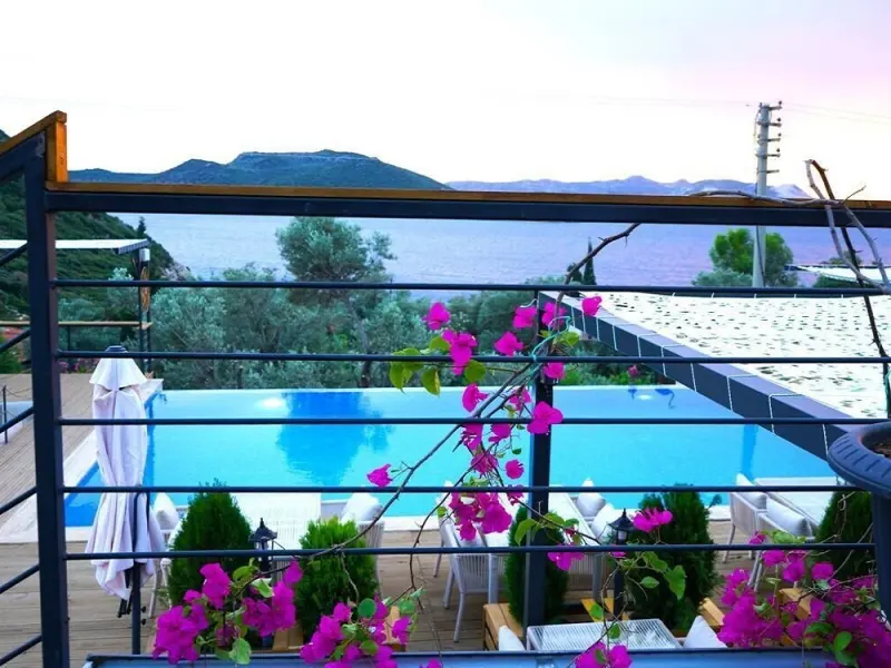 The Luxury Shelters 1