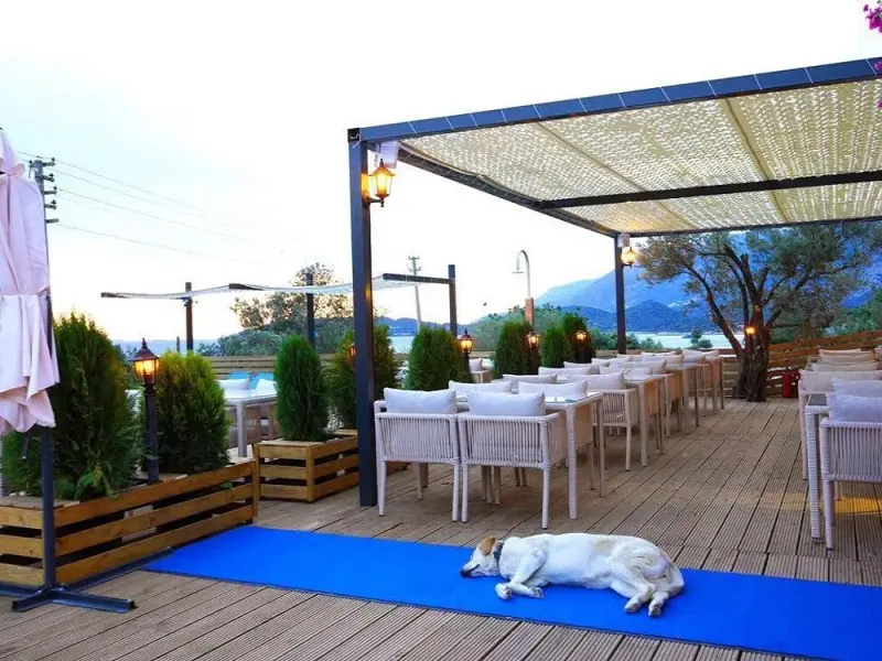 The Luxury Shelters 23