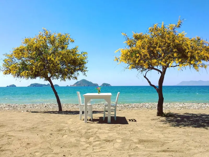 Yonca Lodge Otel 7