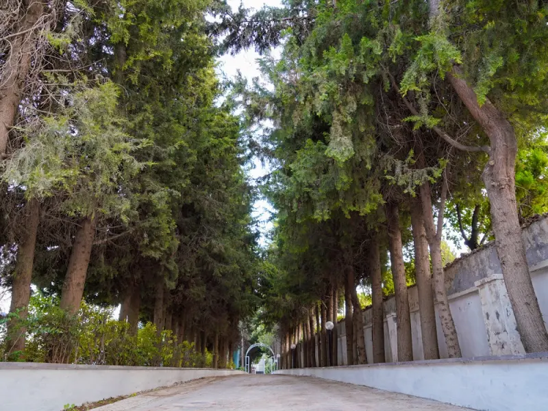 Uğurlu Termal Tatil Köyü 5