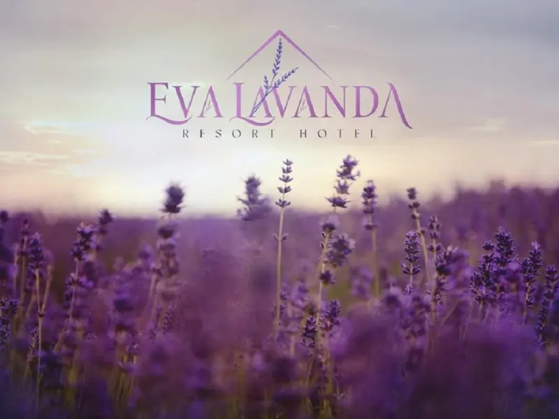Eva Lavanda Kazdağları 28