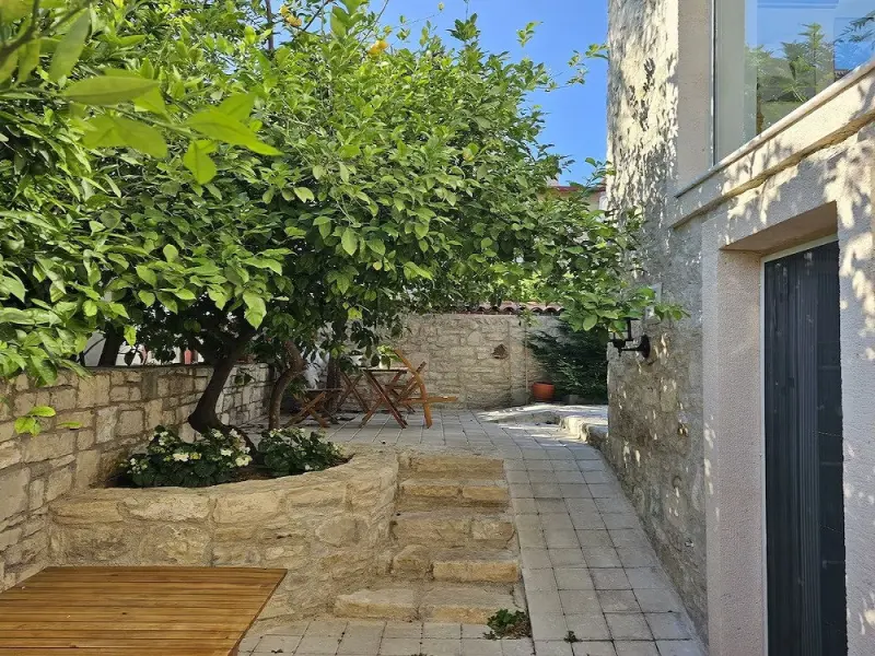 Kuğu Urla 12